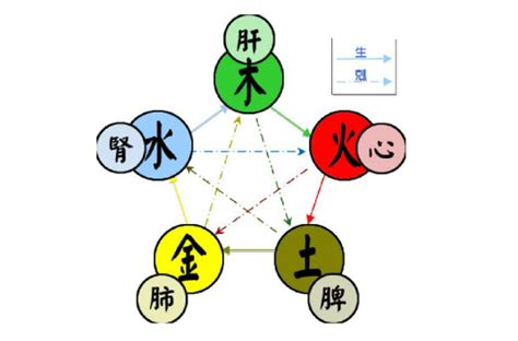 和 五行|五行（对万事万物的取象比类）